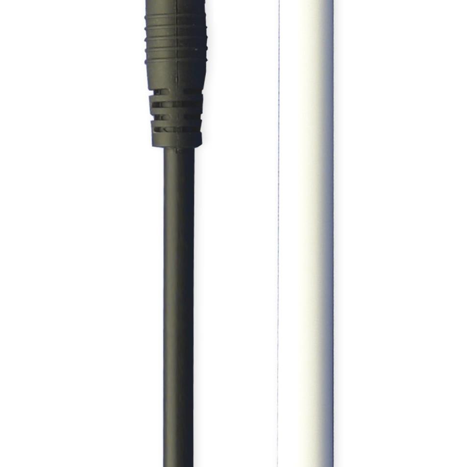 Digital sensors for measuring the equilibrium moisture content