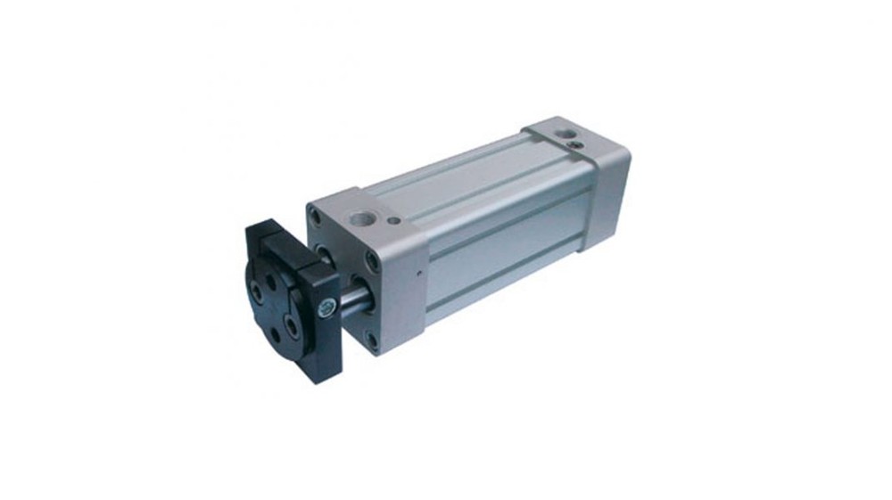 Twin Rod Cylinders